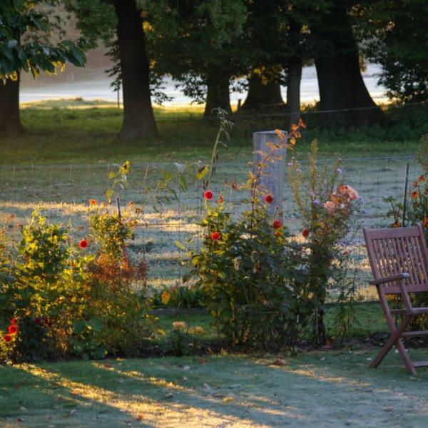 Unser Garten