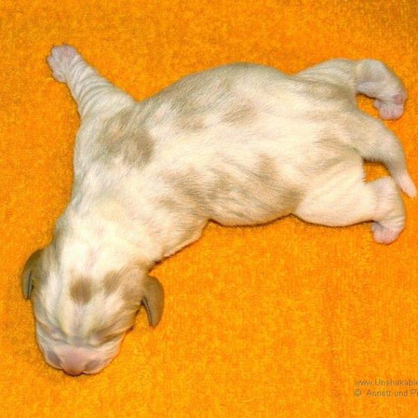 2011 04 04 3o