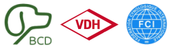 BCD e.V.- VDH - FCI