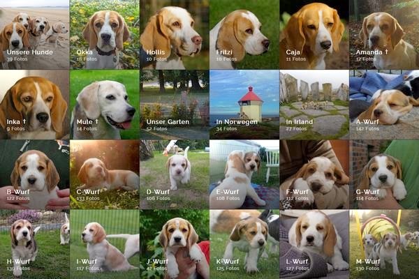 Fotogalerie unserer Hunde und unserer Zuchtstätte